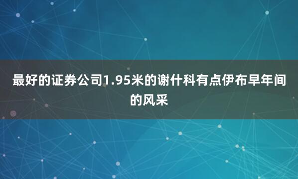 最好的证券公司1.95米的谢什科有点伊布早年间的风采