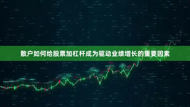 散户如何给股票加杠杆成为驱动业绩增长的重要因素