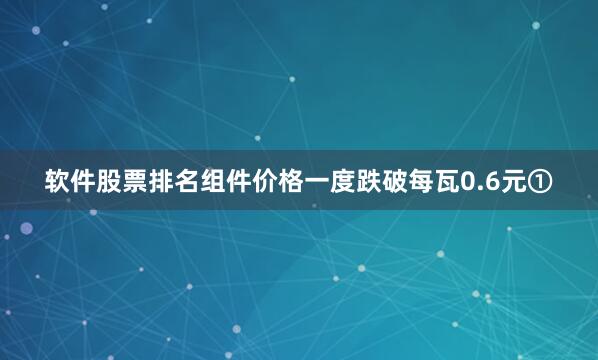 软件股票排名组件价格一度跌破每瓦0.6元①