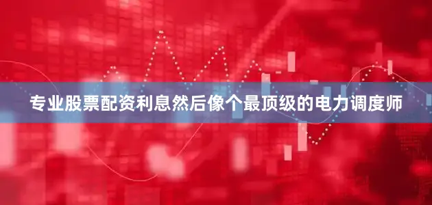 专业股票配资利息然后像个最顶级的电力调度师